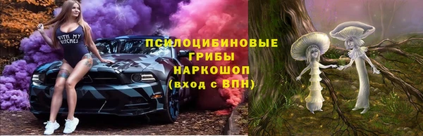 ешки Нягань