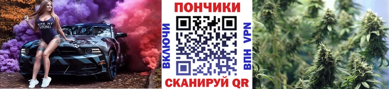 Бошки марихуана гибрид  Лахденпохья 